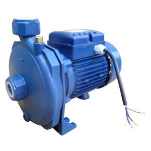 BCM-1