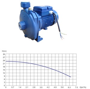 BCM-1