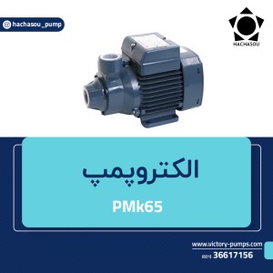 PMk65