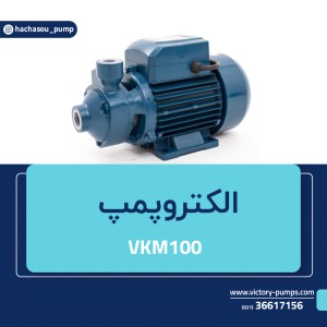 VKM100