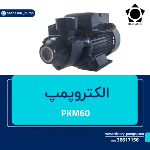 PKM60