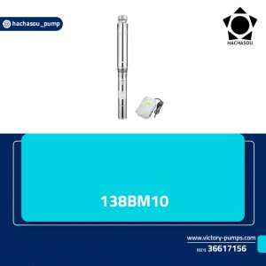 138BM10