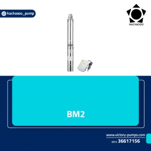 BM2