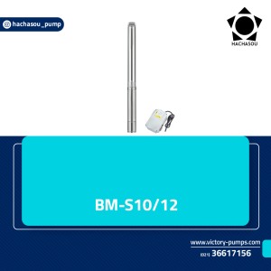BMS10-12