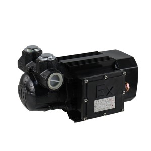 پمپ بی صدا اکسپروف ACYB-61 220V