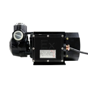 پمپ بی صدا اکسپروف ACYB-61 220V