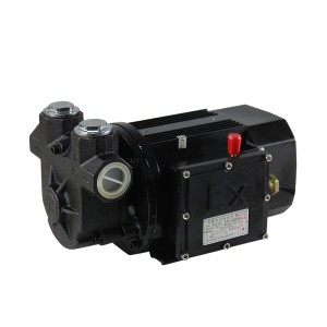 پمپ خود پرایمینگ اکسپروف ACYB-62 220V