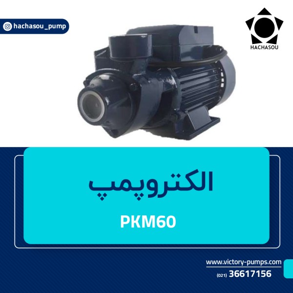 PKM60