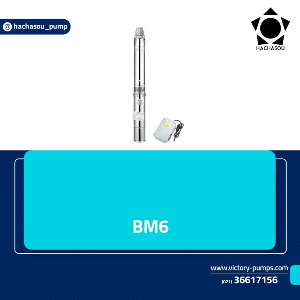 BM6